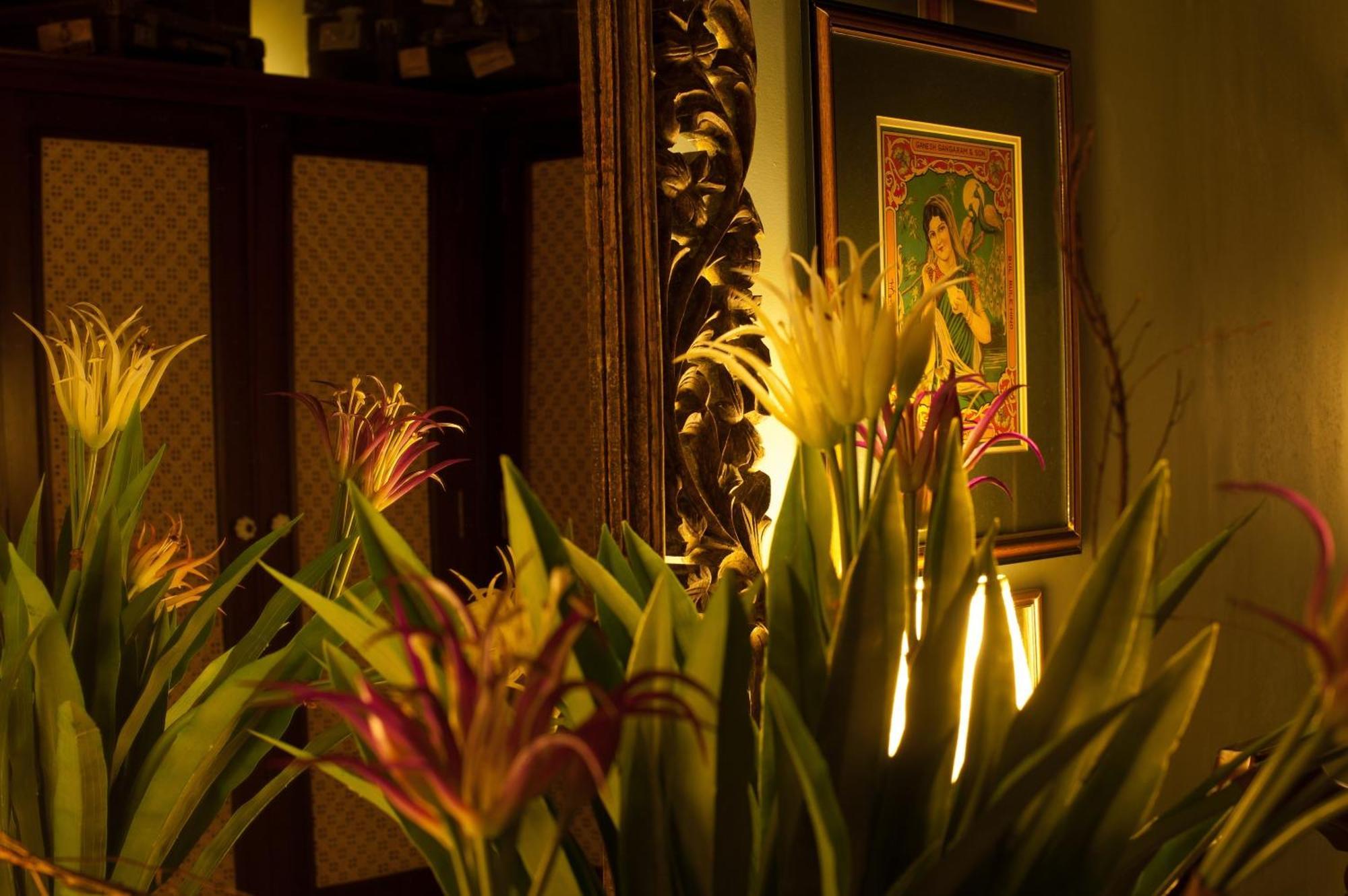 Reef Villa Wadduwa Rum bild