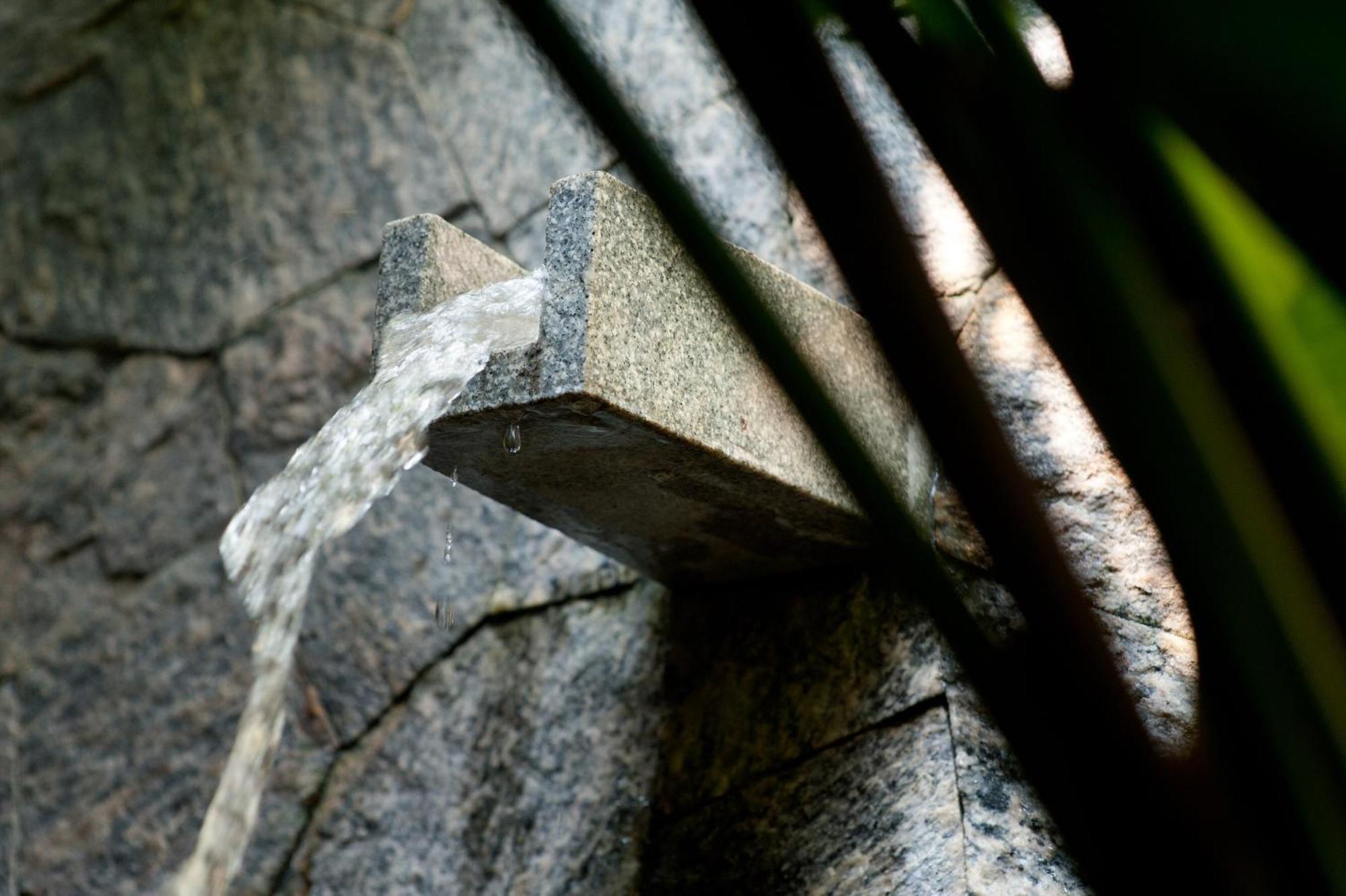 Reef Villa Wadduwa Rum bild